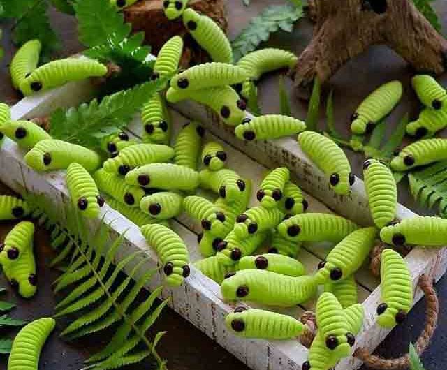 Catterpillar Green Cookies